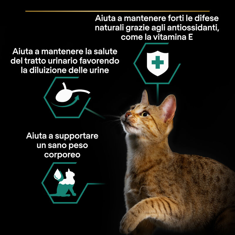 Purina Pro Plan Cat Adult Sterilised Terrine con Merluzzo 10x75 gr
