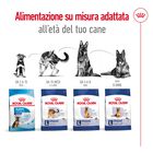 Royal Canin Dog Maxi Adult 4 kg 