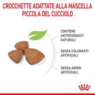 Royal Canin Dog Puppy X-Small 1,5 kg