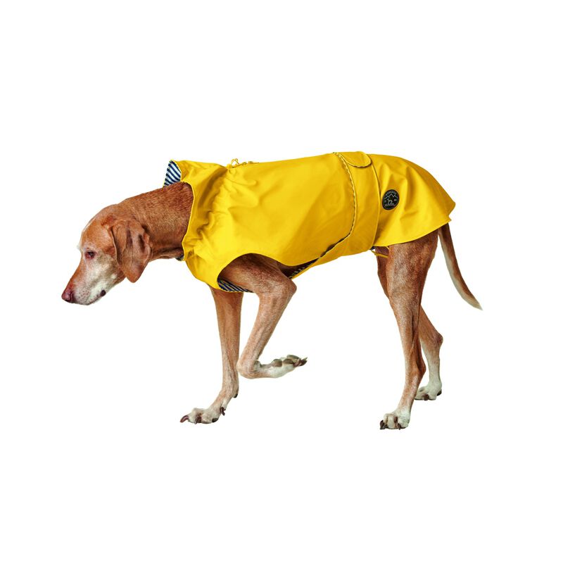 Hunter Impermeabile Milford per cani Giallo Tg.25
