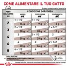 Royal Canin Veterinary Diet Cat Gastrointestinal 12x85 gr