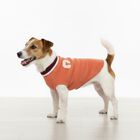 Camon Maglioncino per cani Chelsea tg. 40