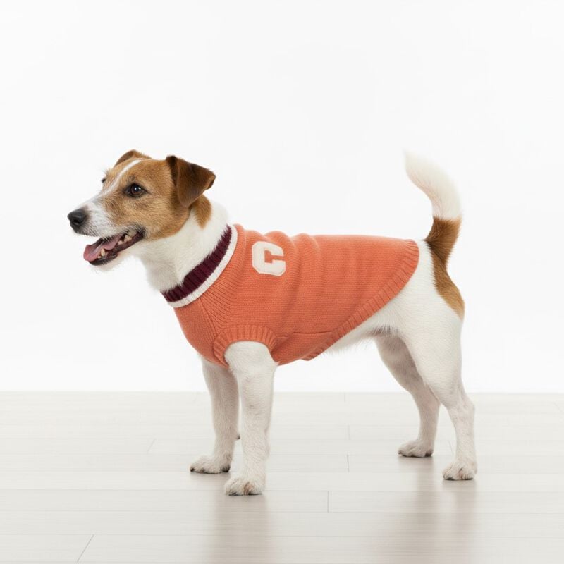 Camon Maglioncino per cani Chelsea tg. 40