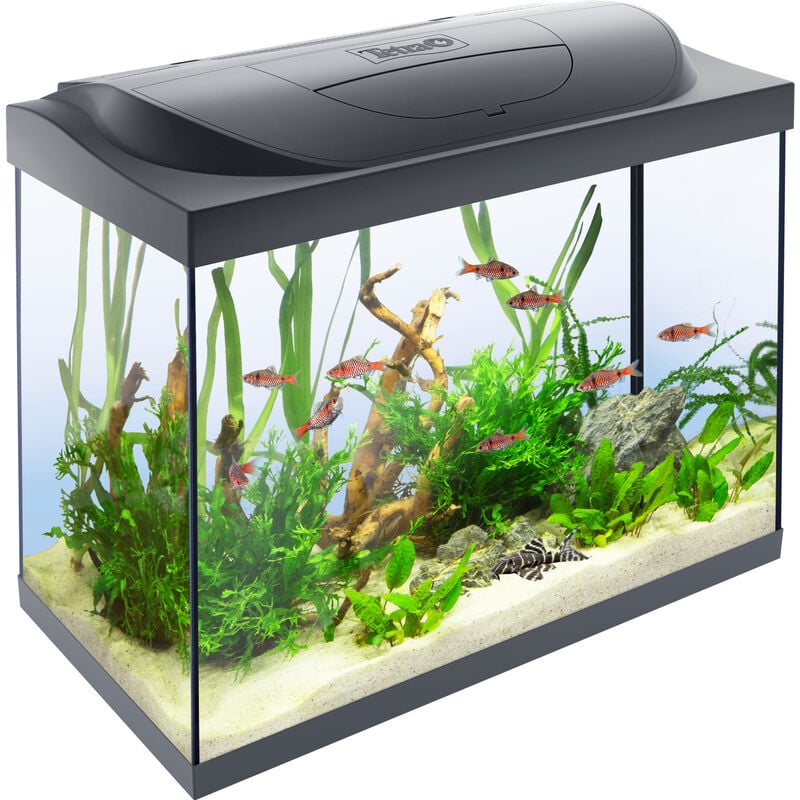 Tetra Starter Line Led 80 l