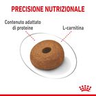 Royal Canin Dog Adult Maxi Light Weight Care 12 kg
