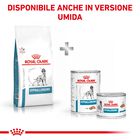 Royal Canin Veterinary Diet Dog Hypoallergenic 14 kg