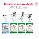 Royal Canin Dog Mini Adult +8 anni 8kg