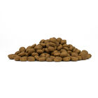 Forza 10 Active Vet Diet Dog Adult Mini&Toy Intestinal Colon Fase 1 1,5kg