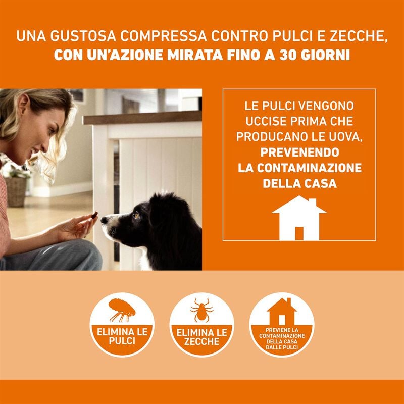 FRONTPRO compresse masticabili per cani 4-10 kg