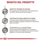 Royal Canin Veterinary Diet Dog Adult Gastrointestinal Low Fat 200 gr