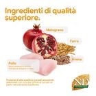 N&D Farmina Ancestral Grain Neutred Cat Pollo & Melograno 1,5 kg
