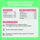 Schesir Soup Cat Salmone e Carote 40g