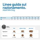 N&D Farmina Pumpkin Dog Adult Mini Agnello e Mirtillo 2,5 kg