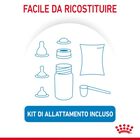 Royal Canin Babydog Milk 400 gr - Scad 31 ottobre 2026