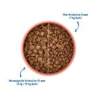 Wow Dog Adult Mini Salmone con spinaci e patate dolci 1kg