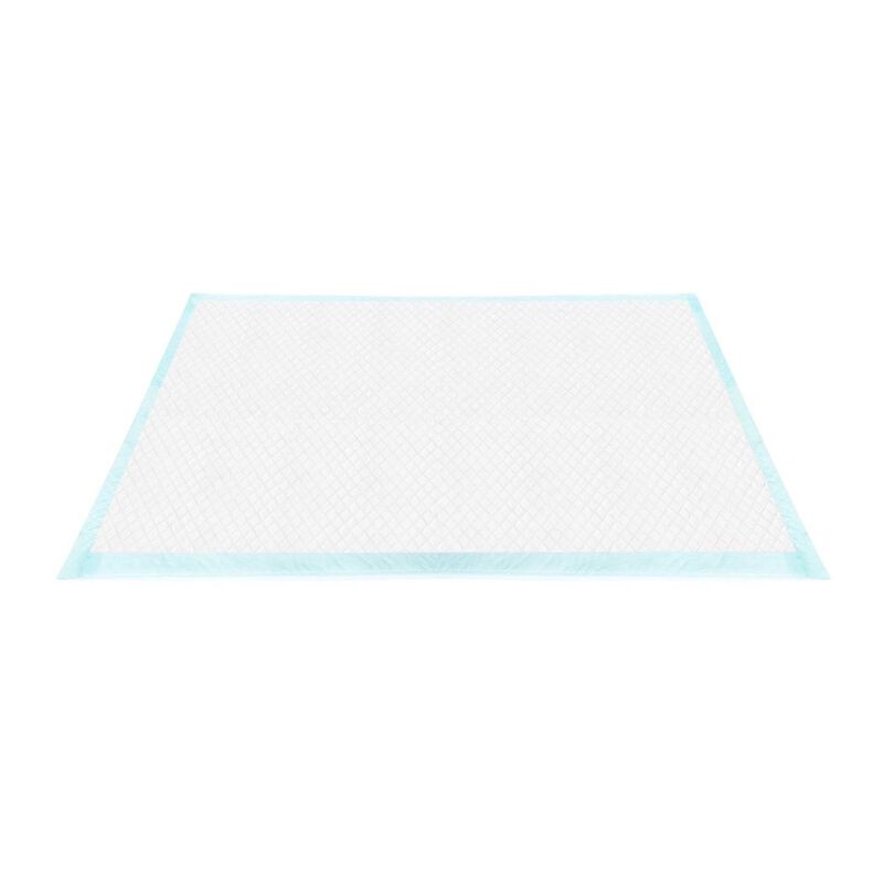 Record Tapiss Tappetini assorbenti carboni attivi 60x60 cm