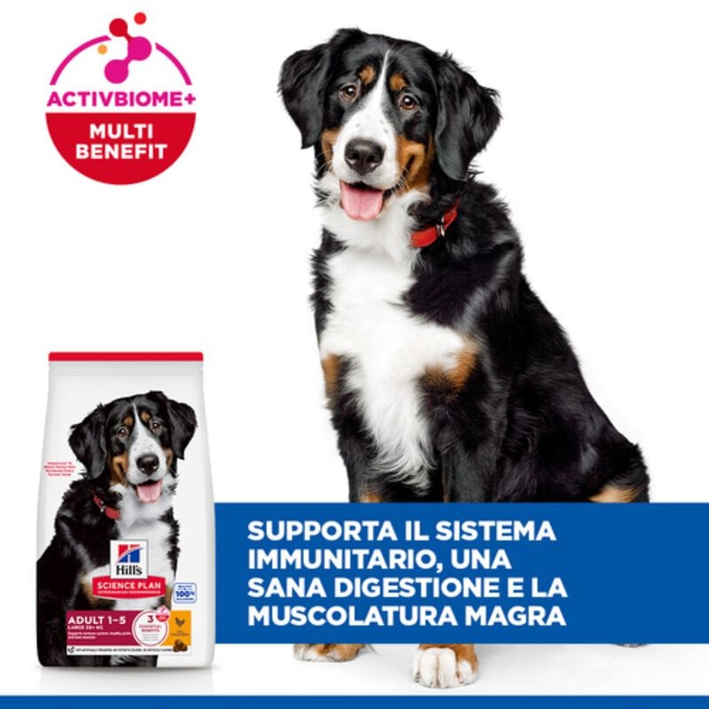 Hill's Science Plan Dog Large Breed Adult al Pollo 14 kg