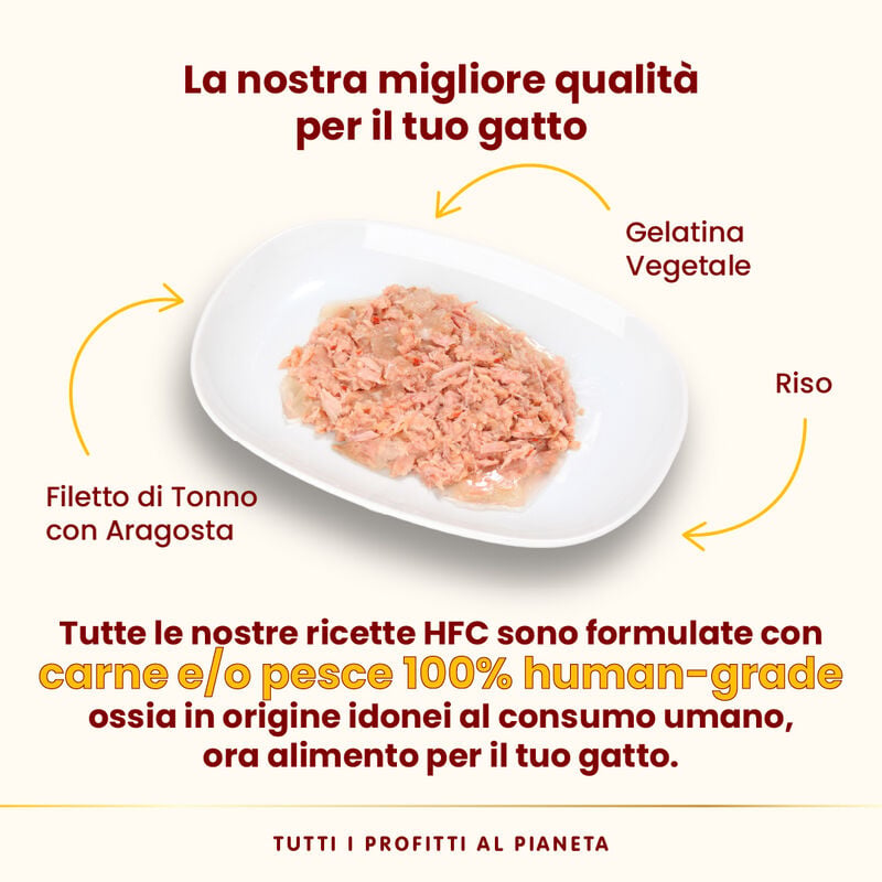 Almo Nature HFC Jelly Filetto di Tonno con Aragosta 55g