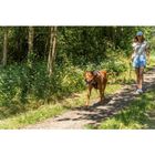 Trixie Pettorina Active Color Salvia Tg M