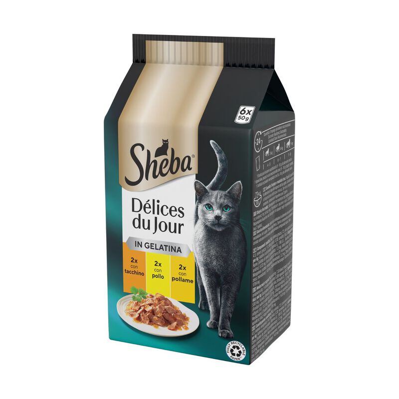 Sheba Cat Delice du Jour Tacchino con Pollo e Pollame in Gelatina 6 pz x 50 gr