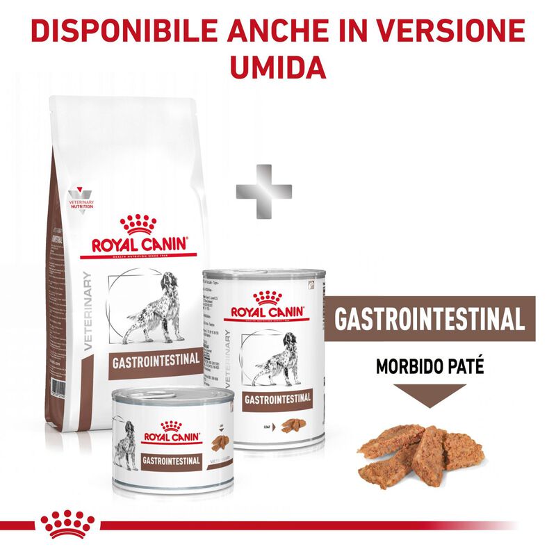 Royal Canin Veterinary Diet Dog Gastrointestinal 15 kg