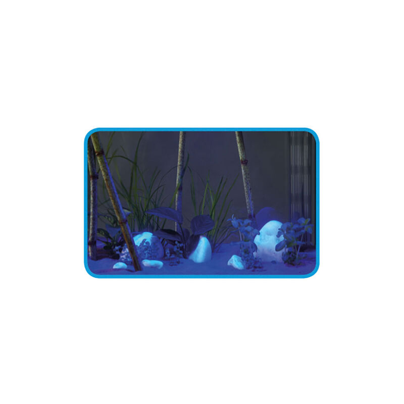 Askoll Stick Light Moonlight Blue - Elemento Decorativo con Luci LED per Acquari