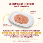 Almo Nature HFC Cat Adult Tonno e Gamberetti 150gr 