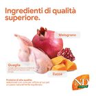 N&D Farmina Pumpkin Neutered Cat Quaglia e Melograno 300 gr