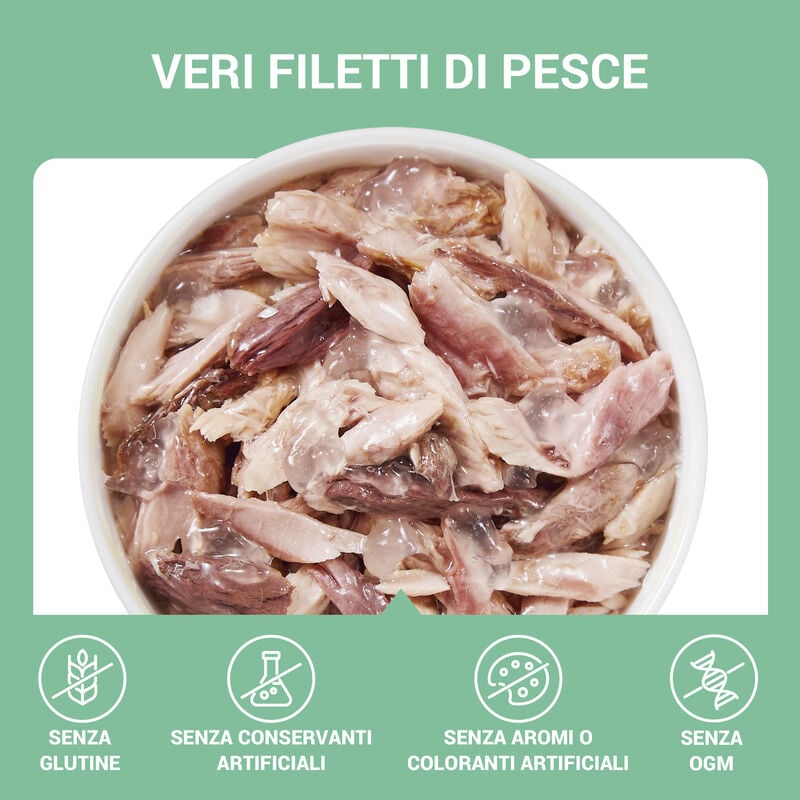 Schesir Cat Tonnetto in Gelatina 70 g