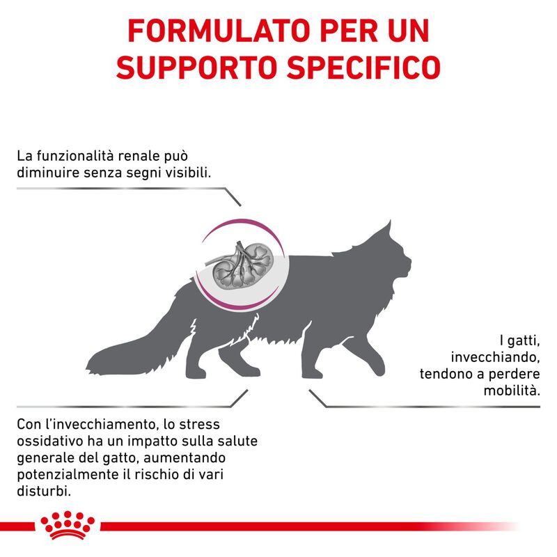 Royal Canin Veterinary Diet Cat Early Renal 400 gr
