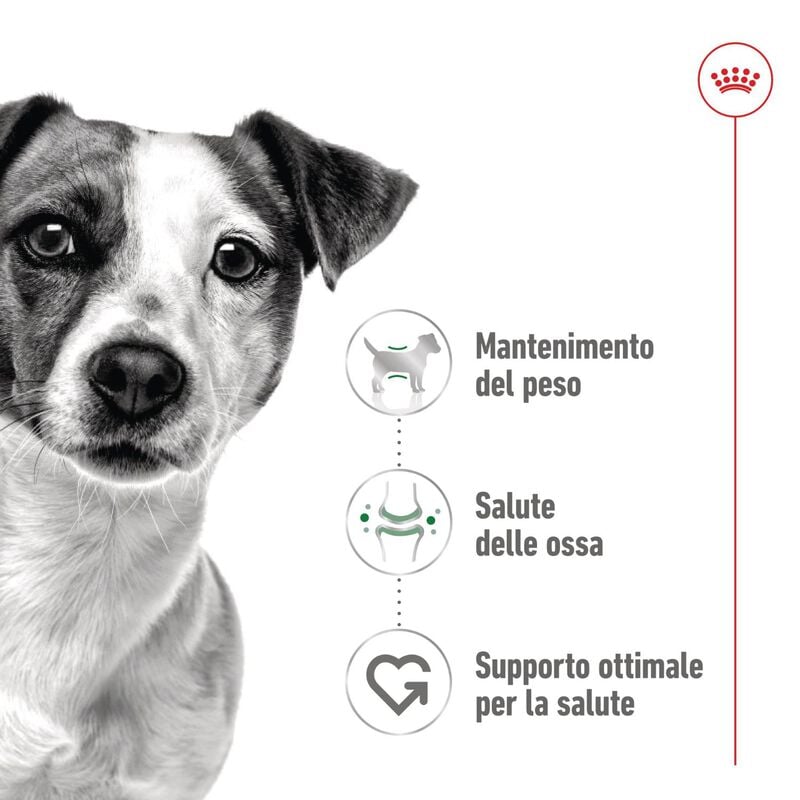 Royal Canin Dog Mini Adult 85 gr