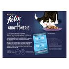 Felix Le Ghiottonerie Cat Le Preferite con Manzo, Pollo, Salmone e Tonno 12 x 85 gr