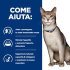 Hill's Prescription Diet Cat k/d Kidney Care Renal con Pollo 85 gr