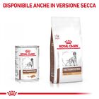 Royal Canin Veterinary Diet Dog Adult Gastrointestinal Hight Fiber 410 gr