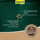 Tetra Reptomin Baby 100 ml