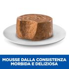 Hill's Science Plan Perfect Digestion Dog Adult Small & Mini Mousse tacchino 200 gr