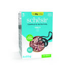 Schesir Cat Tonnetto buste 6x85 gr