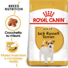 Royal Canin Dog Adult e Senior Jack Russell 1,5 kg - Scad 16 ottobre 2026