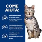 Hill's Prescription Diet Cat c/d Multicare Urinary Stress + Metabolic Obesity con Pollo 1,5 kg
