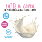 Schesir Kitten Latte pronto 150gr