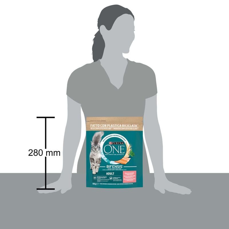 Purina One Bifensis Cat Adult  Salmone e Cereali Integrali 800 gr