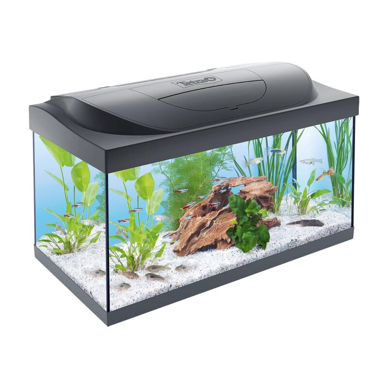 Tetra Starter Line Led 30 l