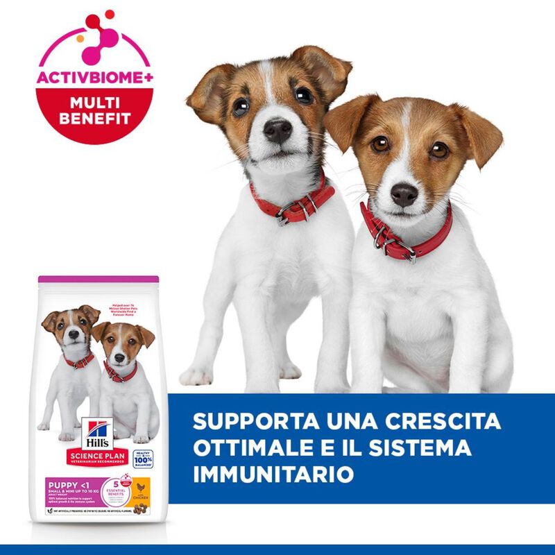Hill's Science Plan Dog  Small & Mini Puppy al Pollo 300 gr