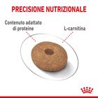 Royal Canin Dog Mini Adult e Senior Light Weight Care 1 kg