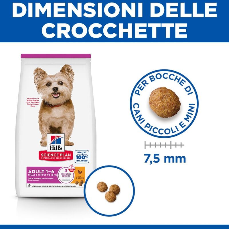 Hill's Science Plan Dog Small & Mini Adult con Pollo 300 gr