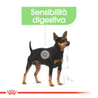 Royal Canin Dog Mini Adult e Senior Digestive Care 1 kg 