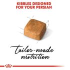 Royal Canin Cat Kitten Persian 2 kg