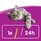 Whiskas Cat Adult stick Salmone 3 pz 18 gr