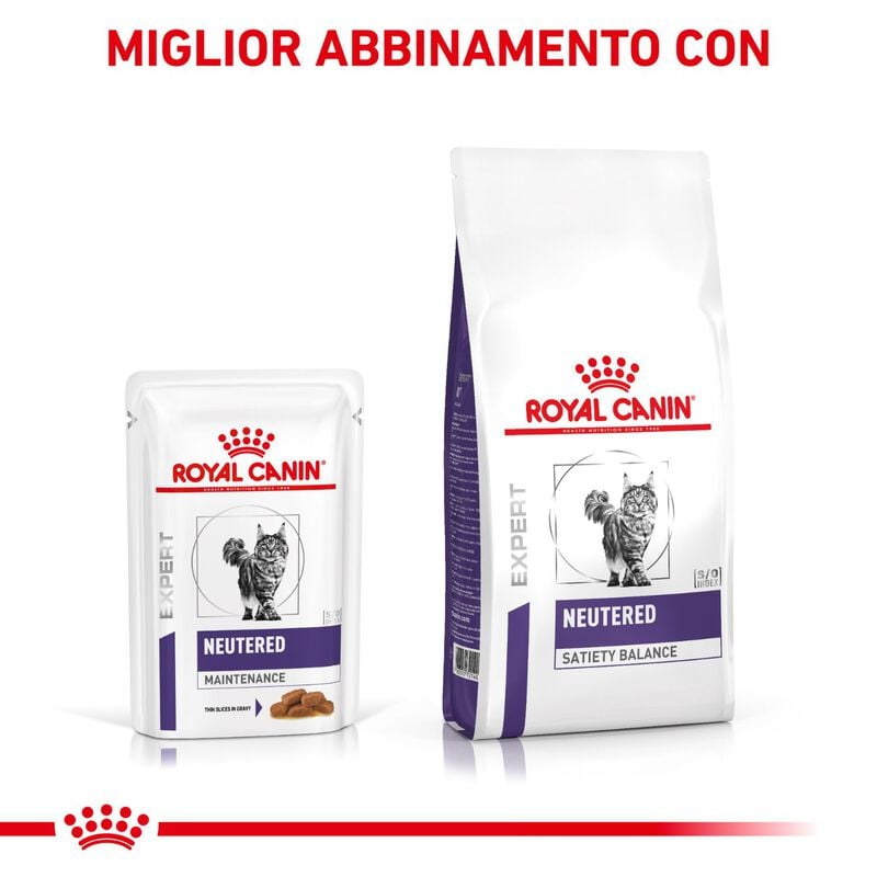 Royal Canin Expert Cat Adult Neutered Maintenance 12x85 gr
