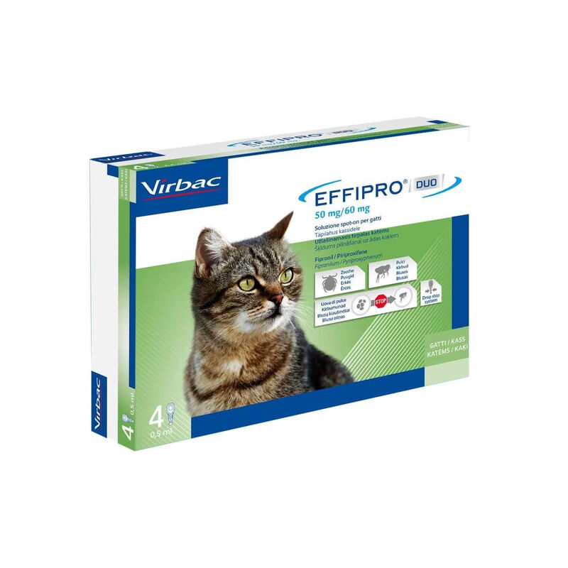 Virbac Effipro Duo Gatto 4 pipette 50-60 mg